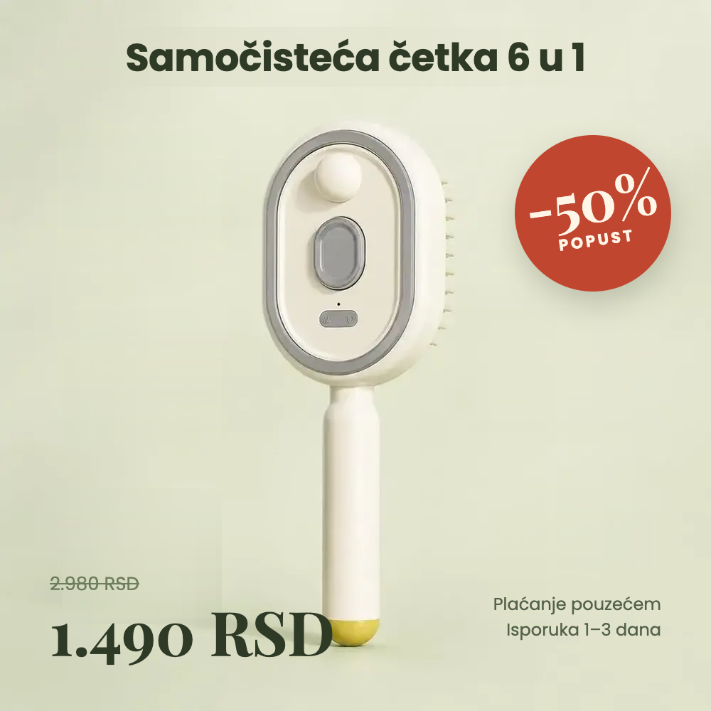 Multifunkcionalna Električna Četka sa Raspršivačem