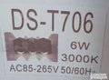 Spoljna dekorativna lampa za kucu DS 706