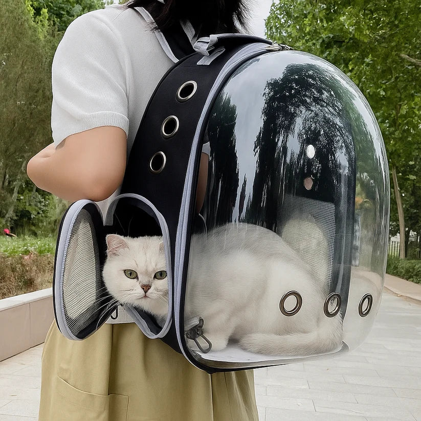 RANAC ZA MAČKE PRAKTIČNOST KOJA MENJA SVE