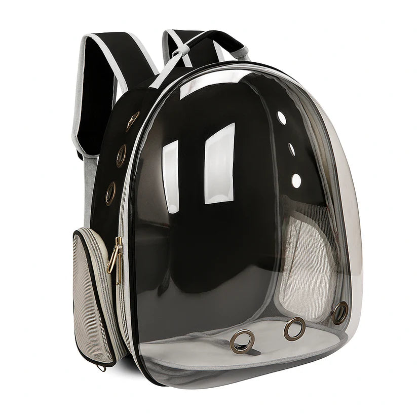 RANAC ZA MAČKE PRAKTIČNOST KOJA MENJA SVE