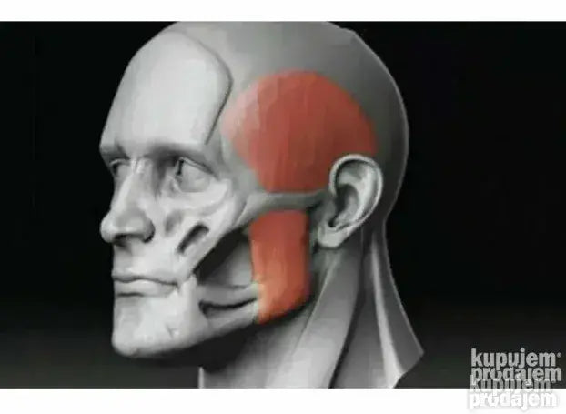 Ojačivač vilice JAWLINE - Guma za vilicu*