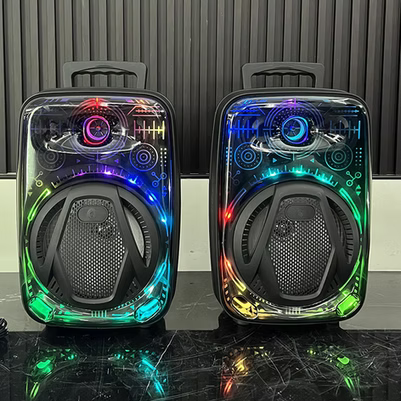 Bluetooth Zvučnik 8" sa mikrofonom