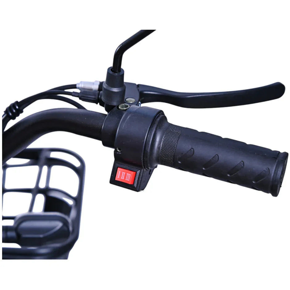 Elektični bicikl Verdeto E-bike